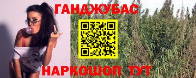 винт Будённовск